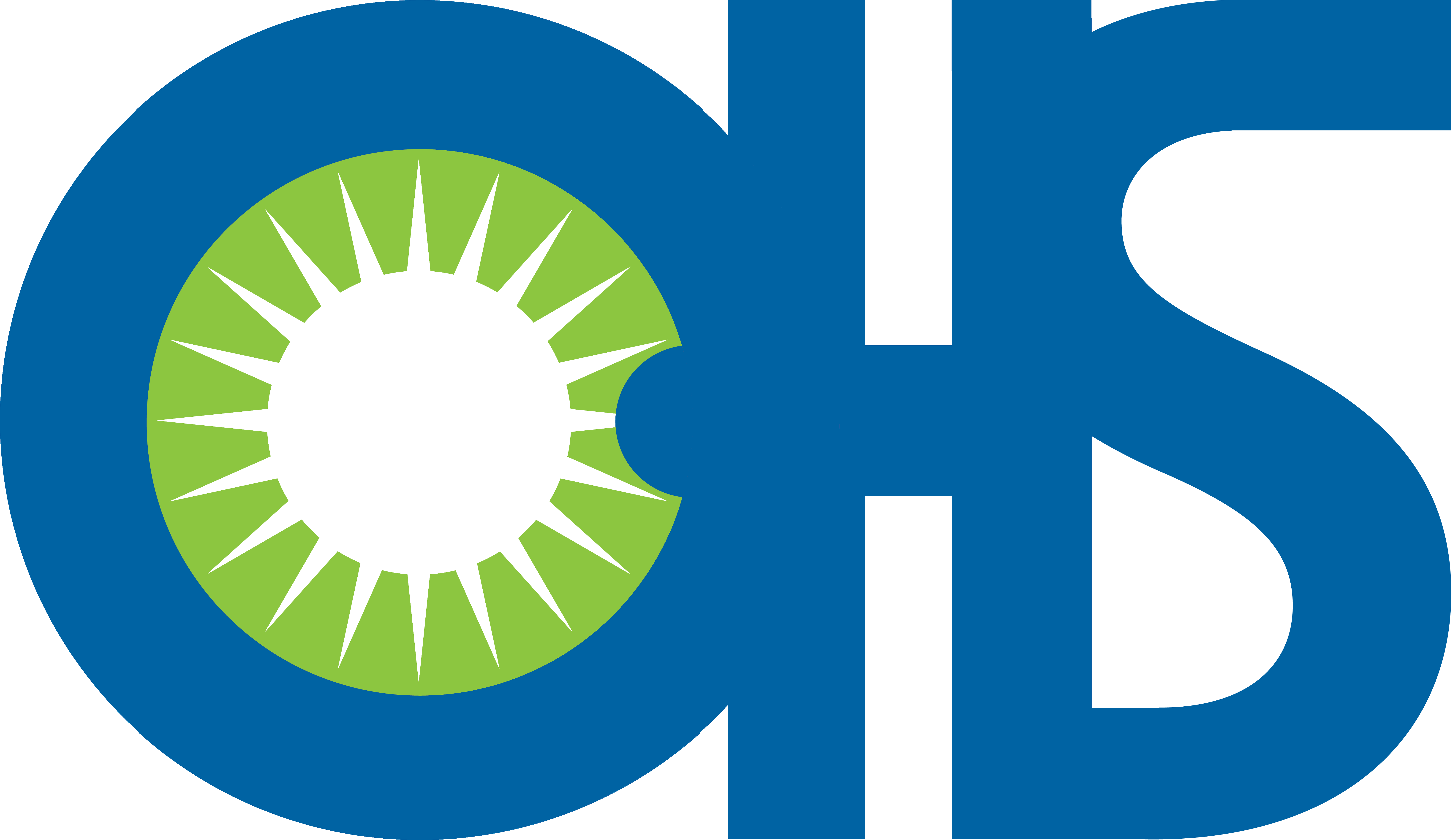 OHS Logo